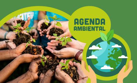 imagen de Taller de Educación ambiental Escuela de la Virginia